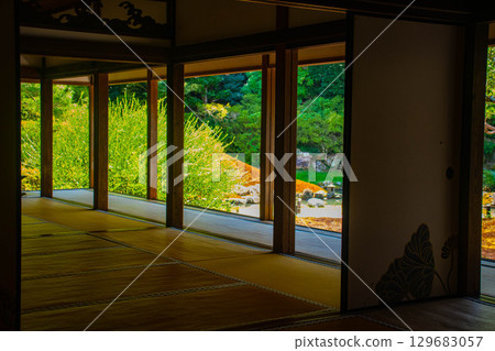 [京都風景] 青蓮院：擁有龍心池的迷人庭院 129683057