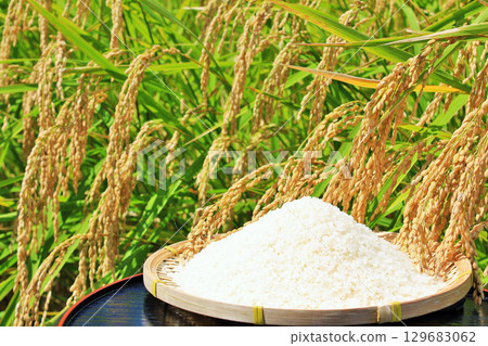 秋天米領域和碗 129683062