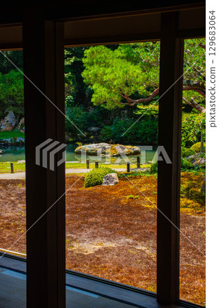 [京都風景] 青蓮院：擁有龍心池的迷人庭院 129683064