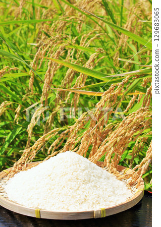 Autumn rice field and bowls 129683065
