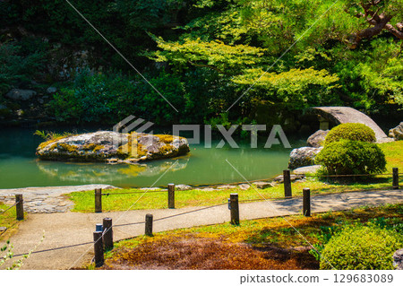 [京都風景] 青蓮院：擁有龍心池的迷人庭院 129683089
