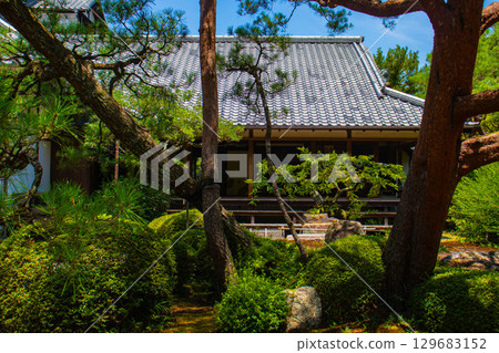 [Kyoto Scenery] Shoren-in Temple: A charming garden with Ryushin Pond 129683152