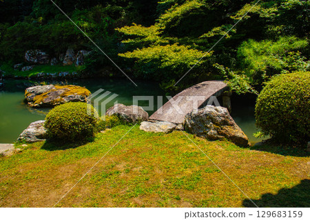 [京都風景] 青蓮院：擁有龍心池的迷人庭院 129683159