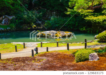 [Kyoto Scenery] Shoren-in Temple: A charming garden with Ryushin Pond 129683173