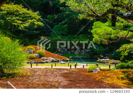 [京都風景] 青蓮院：擁有龍心池的迷人庭院 129683193