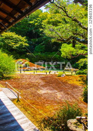 [京都風景] 青蓮院：擁有龍心池的迷人庭院 129683196