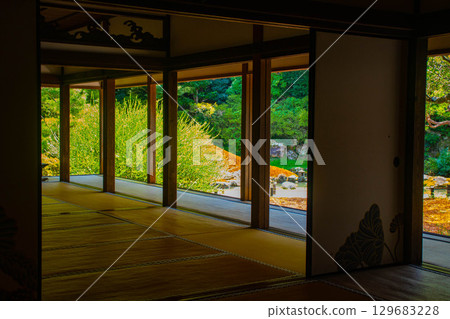 [京都風景] 青蓮院：擁有龍心池的迷人庭院 129683228