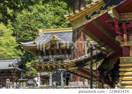 Summer Nikko Toshogu Shrine Yomeimon Gate 129683434
