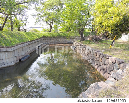 龍岡城的五棱郭護城河 龍岡城的五棱郭護城河 129683963