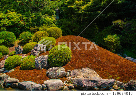 [京都風景] 青蓮院：擁有龍心池的迷人庭院 129684013