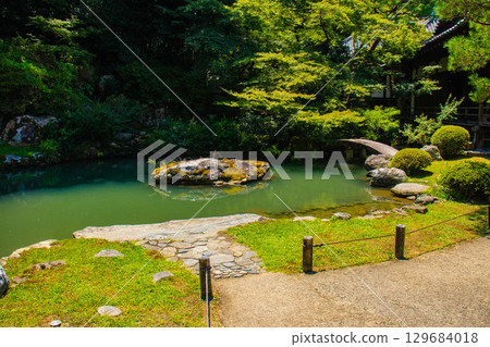 [京都風景] 青蓮院：擁有龍心池的迷人庭院 129684018