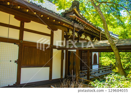 [Kyoto Scenery] Shoren-in Temple: A charming garden with Ryushin Pond 129684035