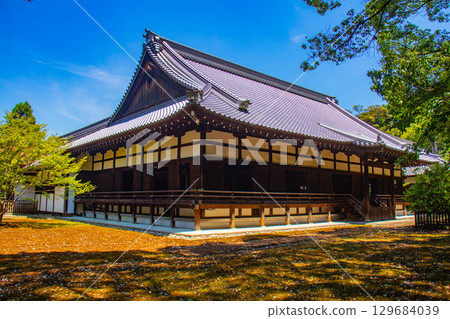 [京都風景] 青蓮院：擁有龍心池的迷人庭院 129684039