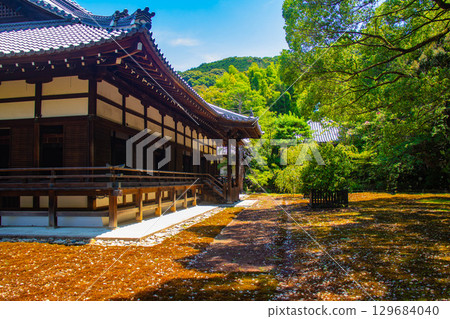 [Kyoto Scenery] Shoren-in Temple: A charming garden with Ryushin Pond 129684040