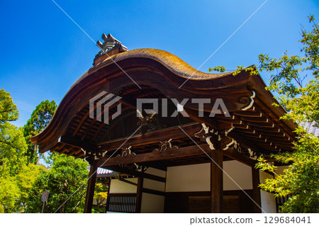 [京都風景] 青蓮院：擁有龍心池的迷人庭院 129684041