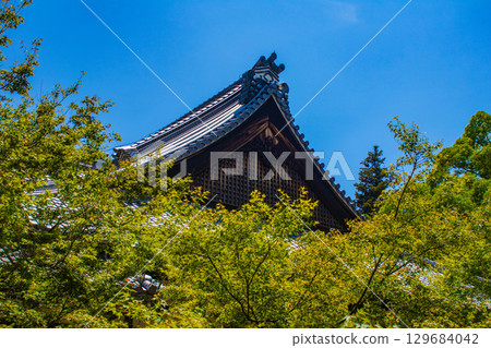 [京都風景] 青蓮院：擁有龍心池的迷人庭院 129684042