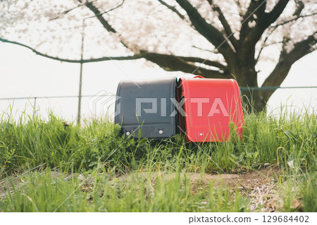 School bag with cherry blossoms 129684402