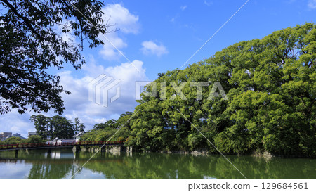 小田原城跡的夏天 小田原城跡的夏天 129684561