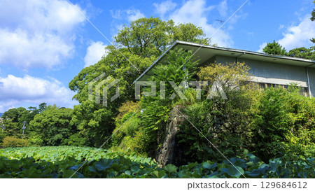 Summer at Odawara Castle Ruins 129684612