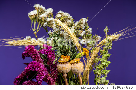 Bouquet of Dried Flowers and Wheat on Purple Background 129684680