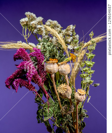 Bouquet of Dried Flowers and Wheat on Purple Background Bouquet of Dried Flowers and Wheat on Purple Background 129684687