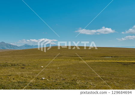 Expansive grassy landscape stretches out under a bright sky and soft clouds Expansive grassy landscape stretches out under a bright sky and soft clouds 129684694
