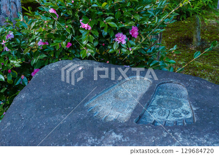 Buddha's footprints and camellia 129684720