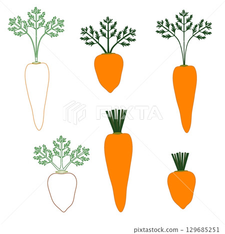 Hand-drawn carrot illustration material | Vegetables, ingredients, spring and autumn harvest 129685251