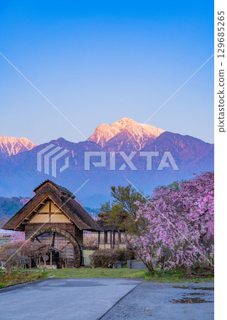 [Takekawacho, Hokuto City, Yamanashi Prefecture] Waterwheel Village Park: Cherry blossoms, waterwheels, and the Southern Alps at dawn 129685265