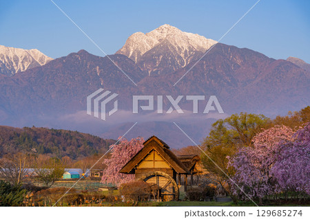 [Takekawacho, Hokuto City, Yamanashi Prefecture] Waterwheel Village Park: Cherry blossoms, waterwheels, and the Southern Alps at dawn 129685274