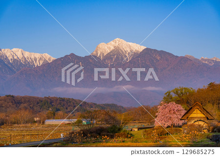 [Takekawacho, Hokuto City, Yamanashi Prefecture] Waterwheel Village Park: Cherry blossoms, waterwheels, and the Southern Alps at dawn 129685275