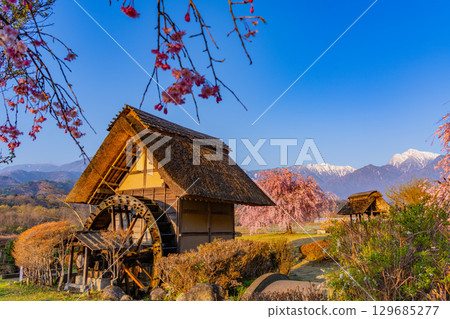 [Takekawacho, Hokuto City, Yamanashi Prefecture] Waterwheel Village Park: Cherry blossoms, waterwheels, and the Southern Alps at dawn 129685277
