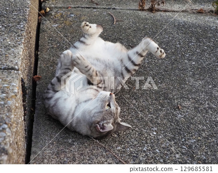 Feels good 129685581