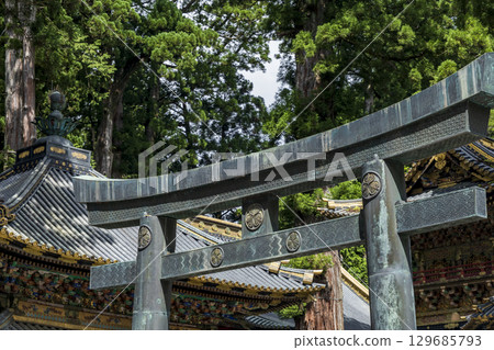 日光東照宮陽明門前的鳥居 129685793