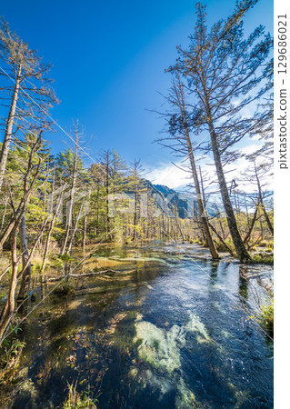 長野縣上高地岳澤濕原的秋日美景 長野縣上高地岳澤濕原的秋日美景 129686021