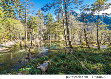 長野縣上高地岳澤濕原的秋日美景 129686022
