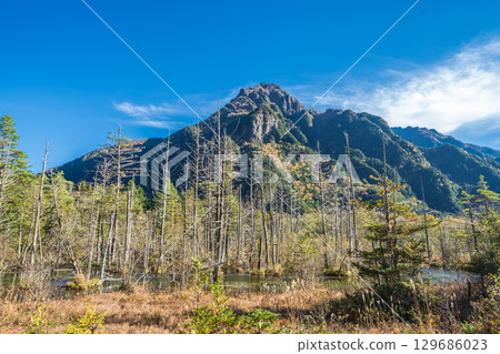 "Nagano Prefecture" Beautiful autumn scenery of the Dakezawa Marsh, Kamikochi 129686023