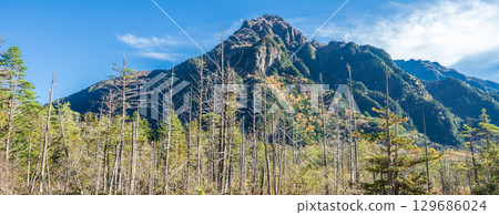 "Nagano Prefecture" Beautiful autumn scenery of the Dakezawa Marsh, Kamikochi 129686024