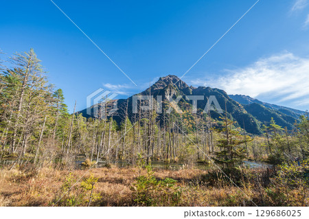 "Nagano Prefecture" Beautiful autumn scenery of the Dakezawa Marsh, Kamikochi 129686025
