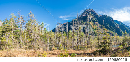 "Nagano Prefecture" Beautiful autumn scenery of the Dakezawa Marsh, Kamikochi 129686026