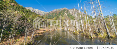"Nagano Prefecture" Beautiful autumn scenery of the Dakezawa Marsh, Kamikochi 129686030