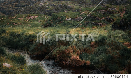 A small mountain stream meanders through the Gap of Dunloe in Ireland. The area is covered in green vegetation and some rock formations. The water moves gently. 129686164