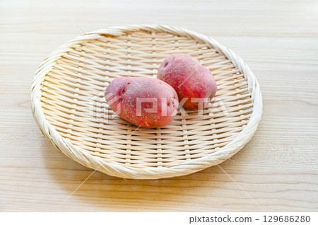 安第斯紅土豆 129686280