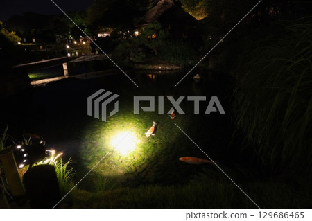 2025 Korakuen: A fantasy garden that colors summer nights 129686465