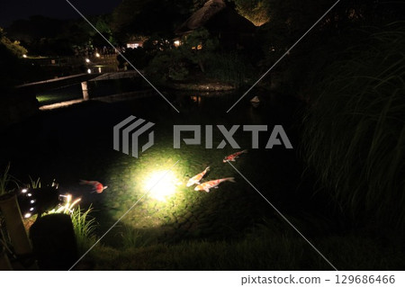 2025 後樂園:為夏夜增添色彩的夢幻花園 2025 後樂園:為夏夜增添色彩的夢幻花園 129686466