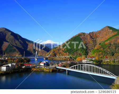 白雪皚皚的富士山和黃葉飄落的丹澤湖 十二月富士山 644 丹澤湖的紅葉 千代澤公園 H4.3 129686515