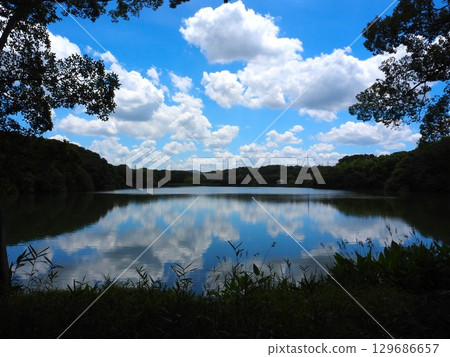 Osaka Yamadaike Park 129686657