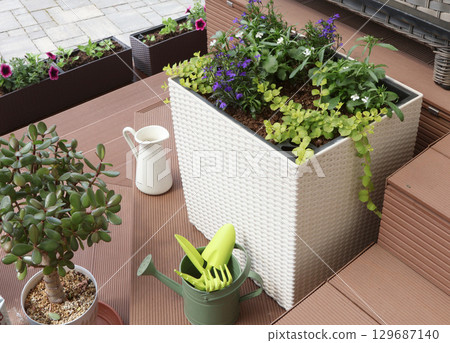 Flower arrangement in a wicker pot. Ampel white and purple lobelia. Garden tools. Top view.  129687140