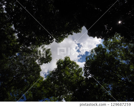 夏日的天空 129687259