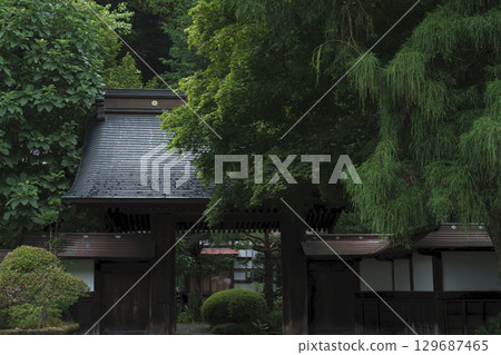 Naraijuku: Kodenzan Daihoji Temple celebrates its annual festival at the Chinjin Shrine 129687465